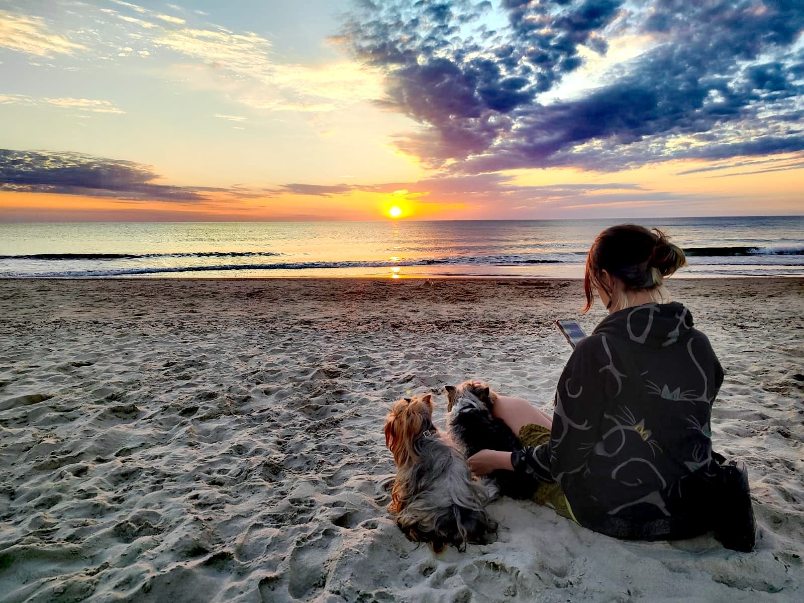 Léto a dovolená se psem, rady a tipy