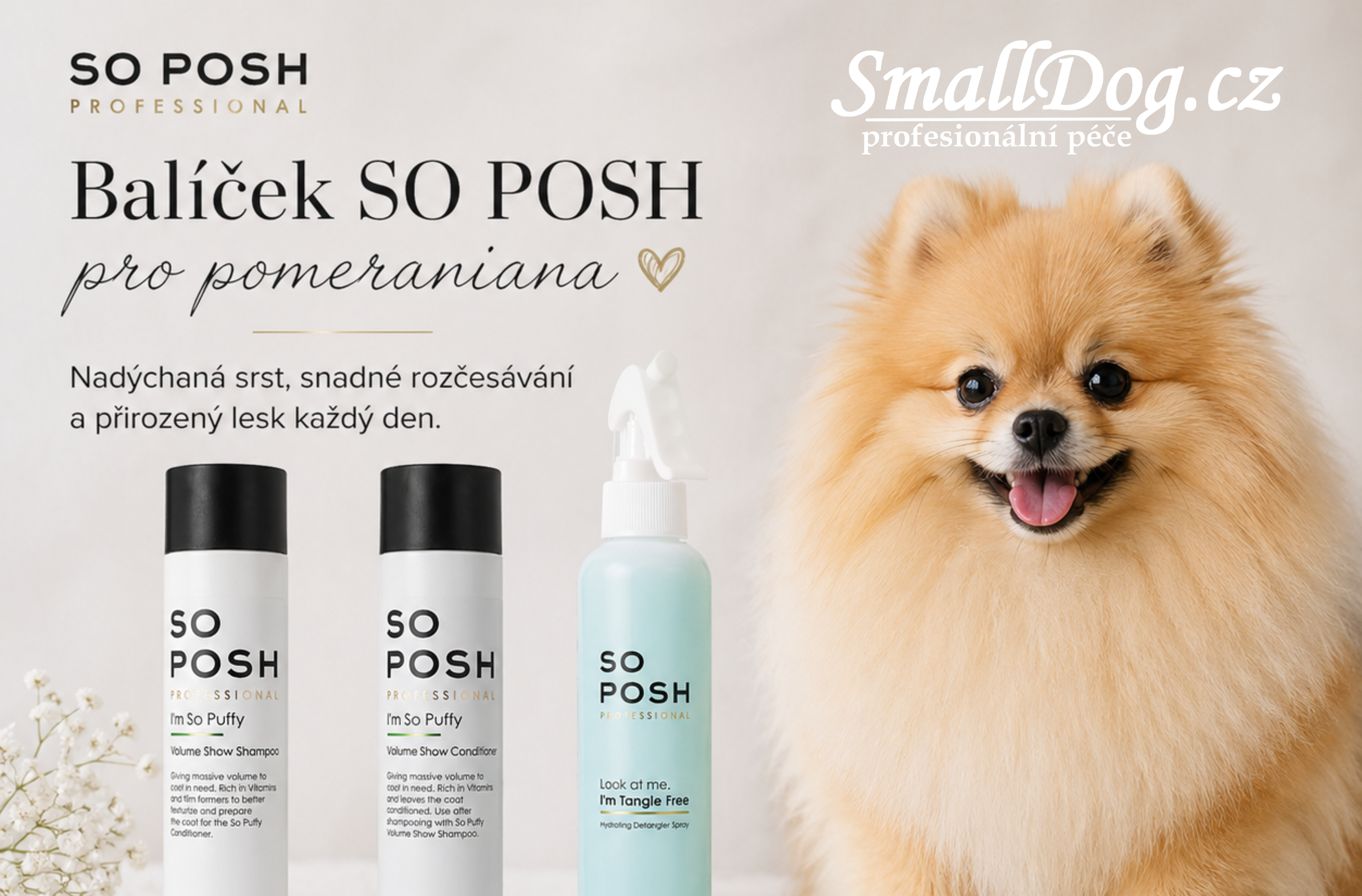 Kompletní kosmetická výbava pro pomeraniany 