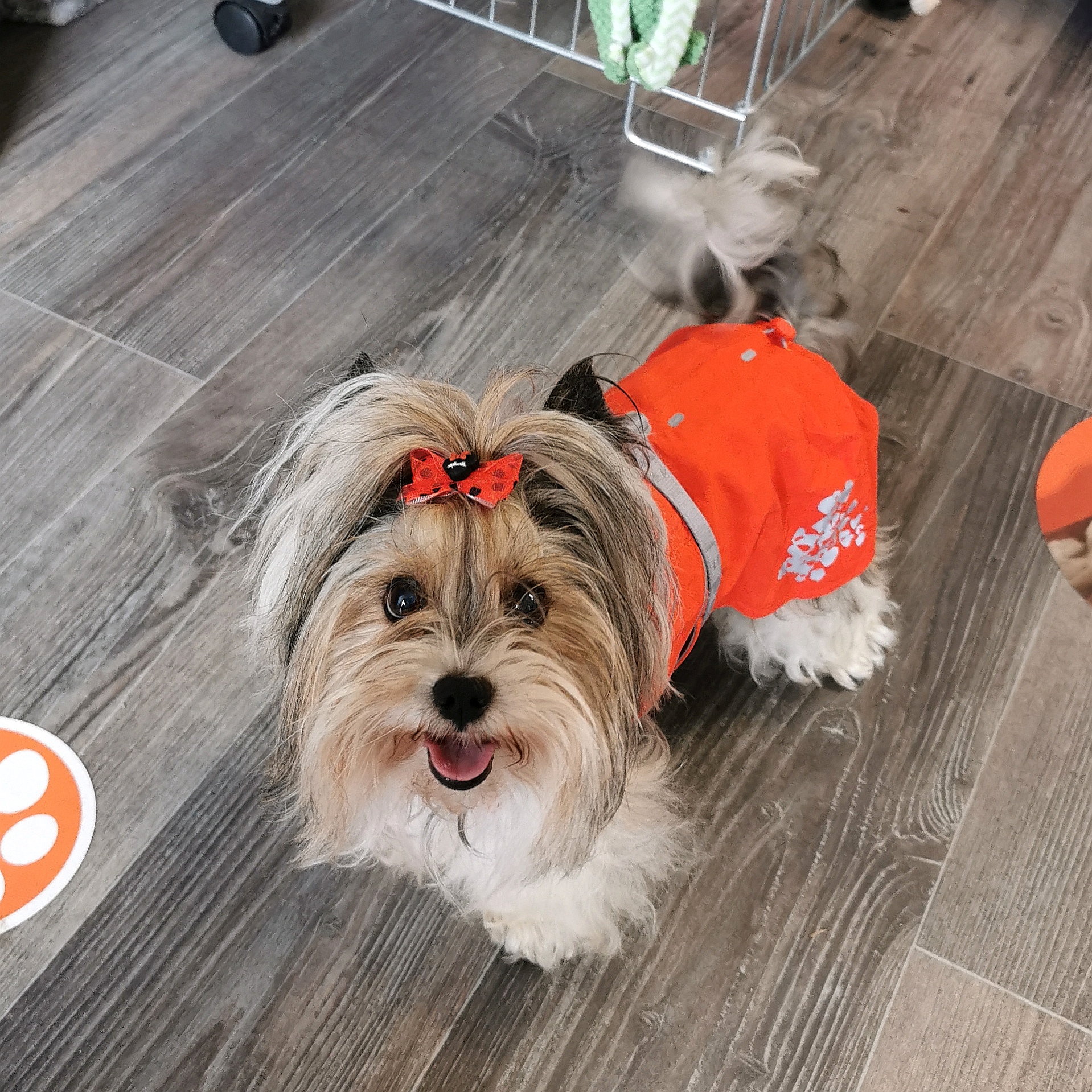 HURTTA - pláštěnky, zimní bundy, overaly. Hladký vnitřek předchází cuchání srsti.