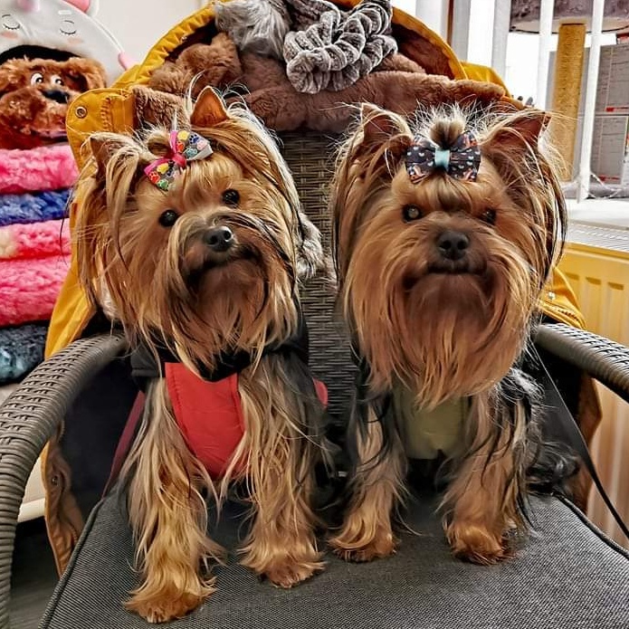 ZOLUX - pláštěnky a zimní vesty. Hladký vnitřek předchází cuchání srsti.