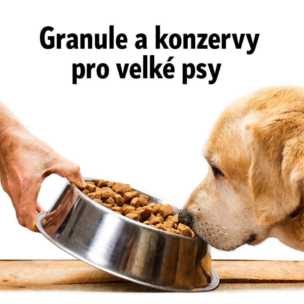 GRANULE A KONZERVY pro velké psy - Ibero, Falco