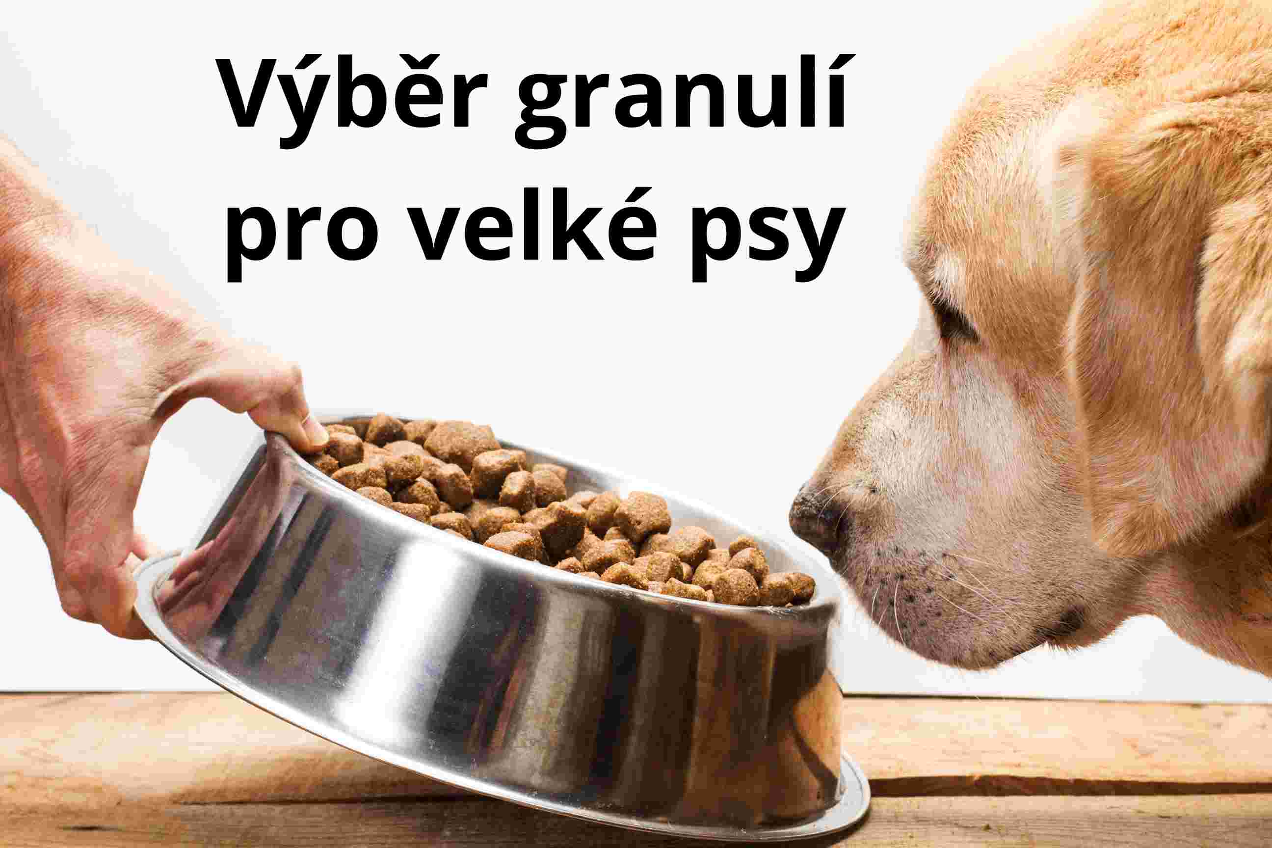Granule pro velké psy