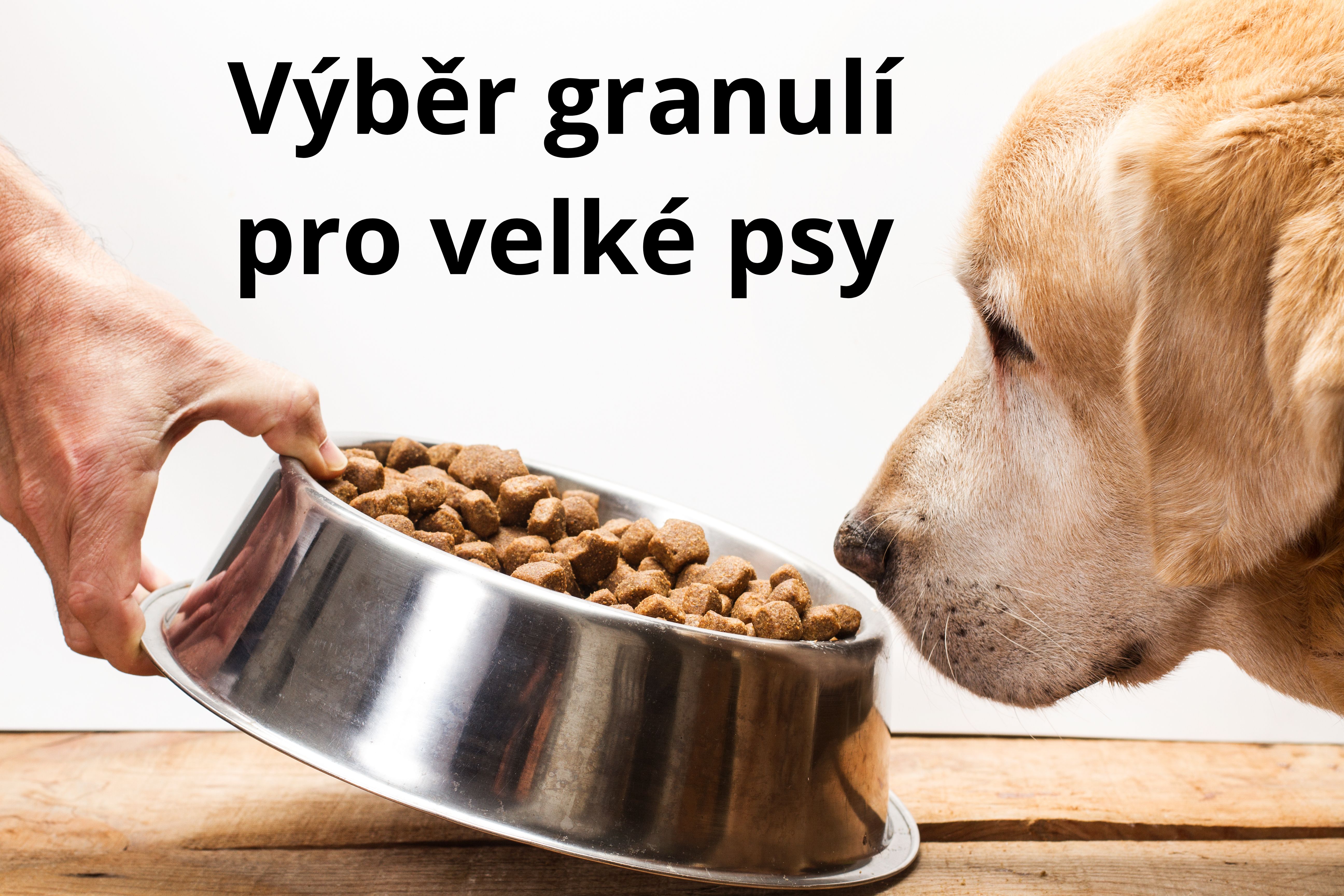 GRANULE PRO VELKÉ PSY - Ibero