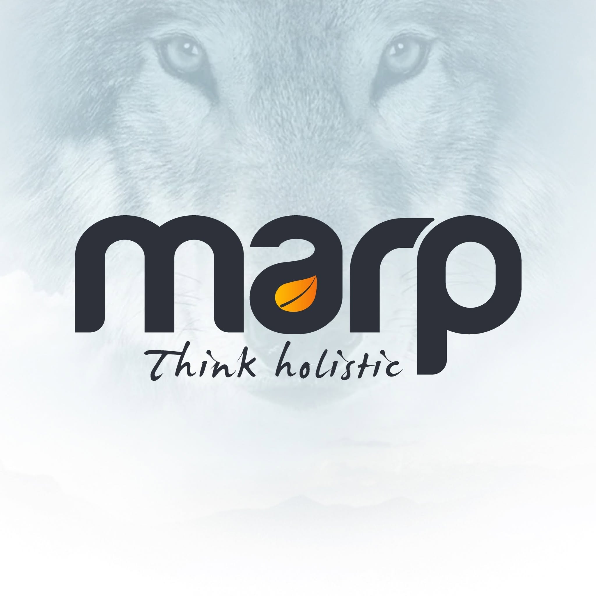 MARP