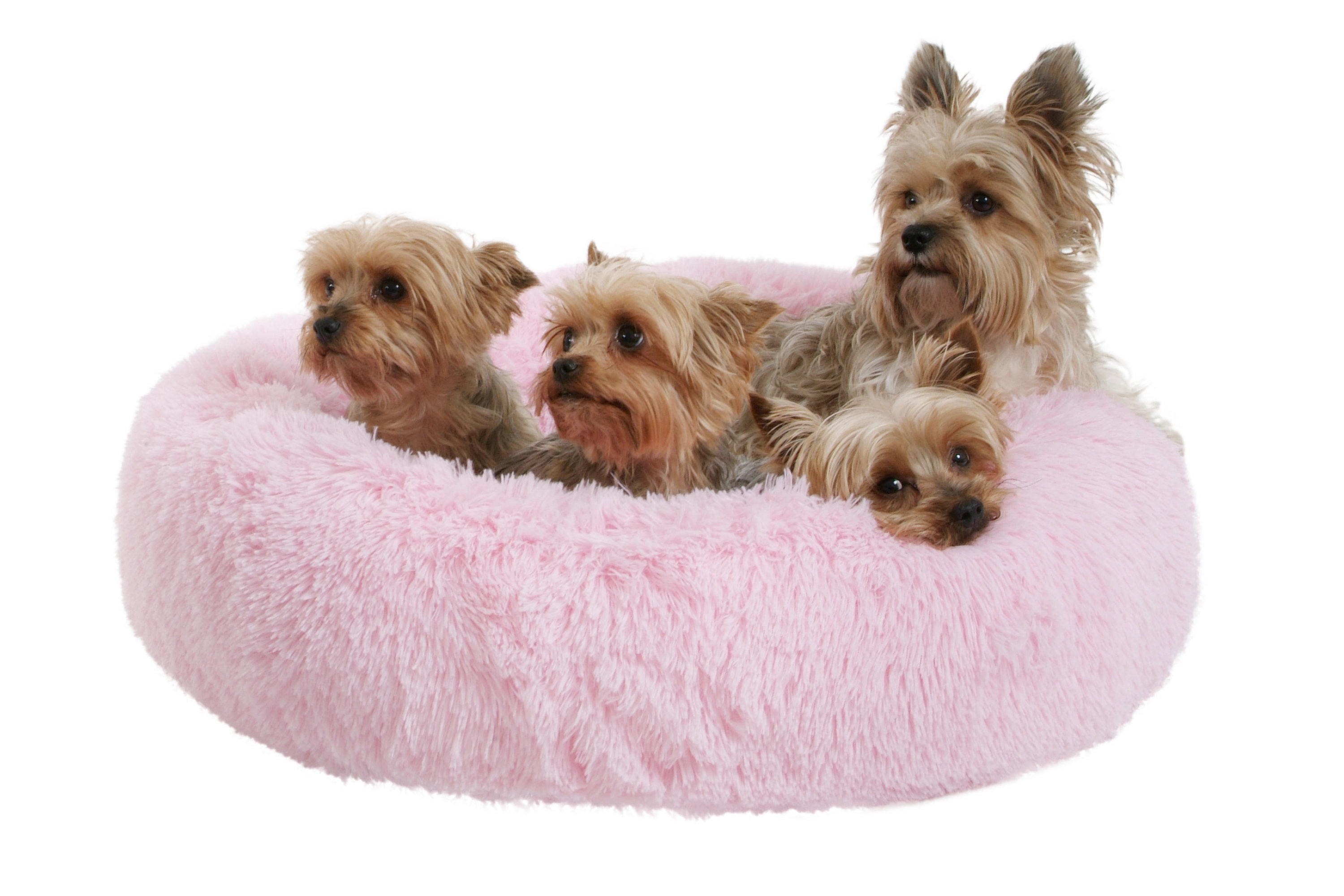 Pelíšky a podložky 