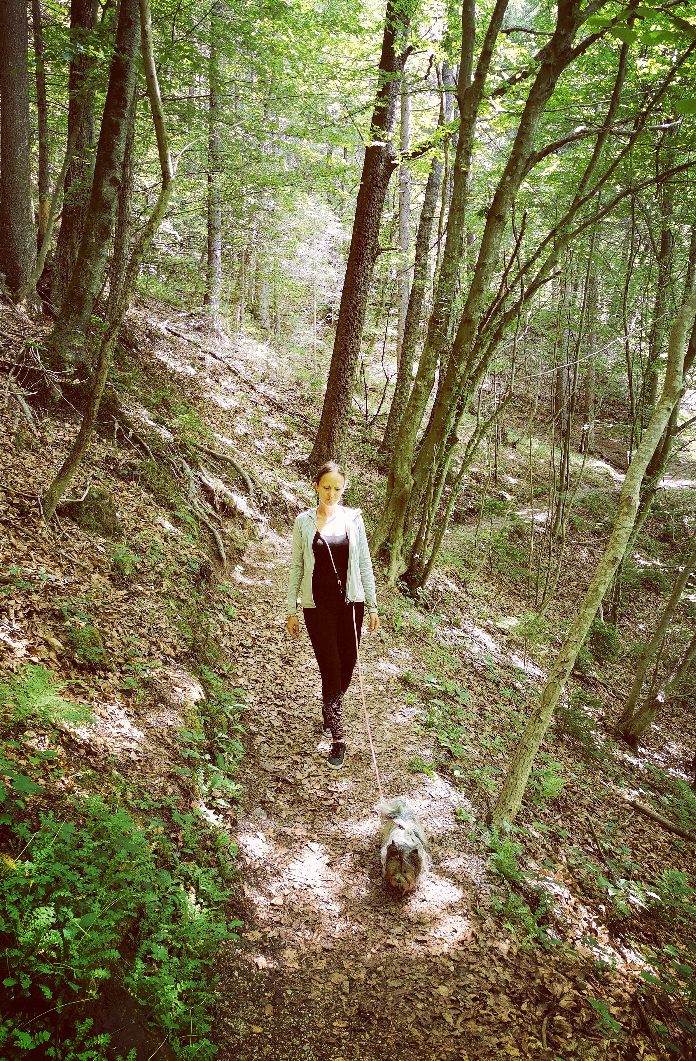 LANOVÉ VODÍTKO EASY LONG - TWIST | MINI | MODRÉ 2,5m