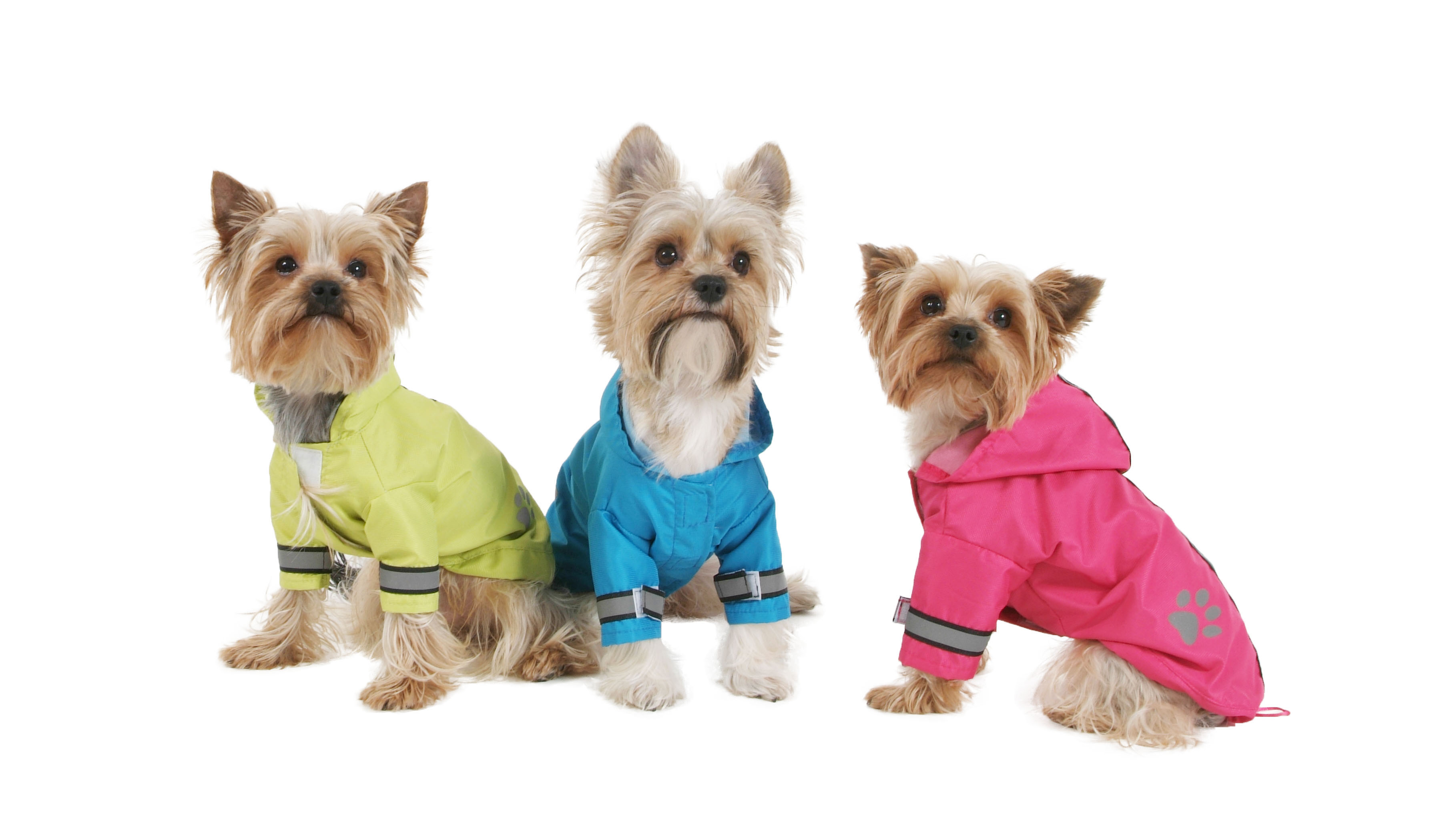 Bunda lehká šusťáková reflex M modrá