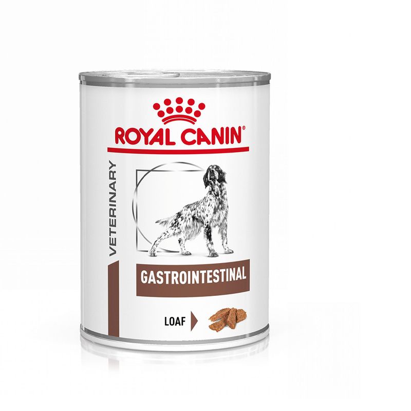 Royal Canin VD Canine Gastro Intest konz 400g