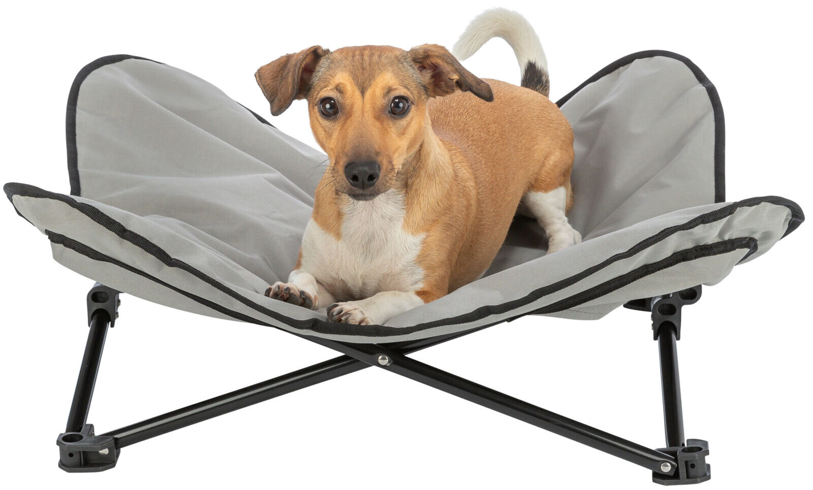 Campingové lůžko STRONG pro psy 69 x 20 x 69 cm do 15 kg šedo-černé