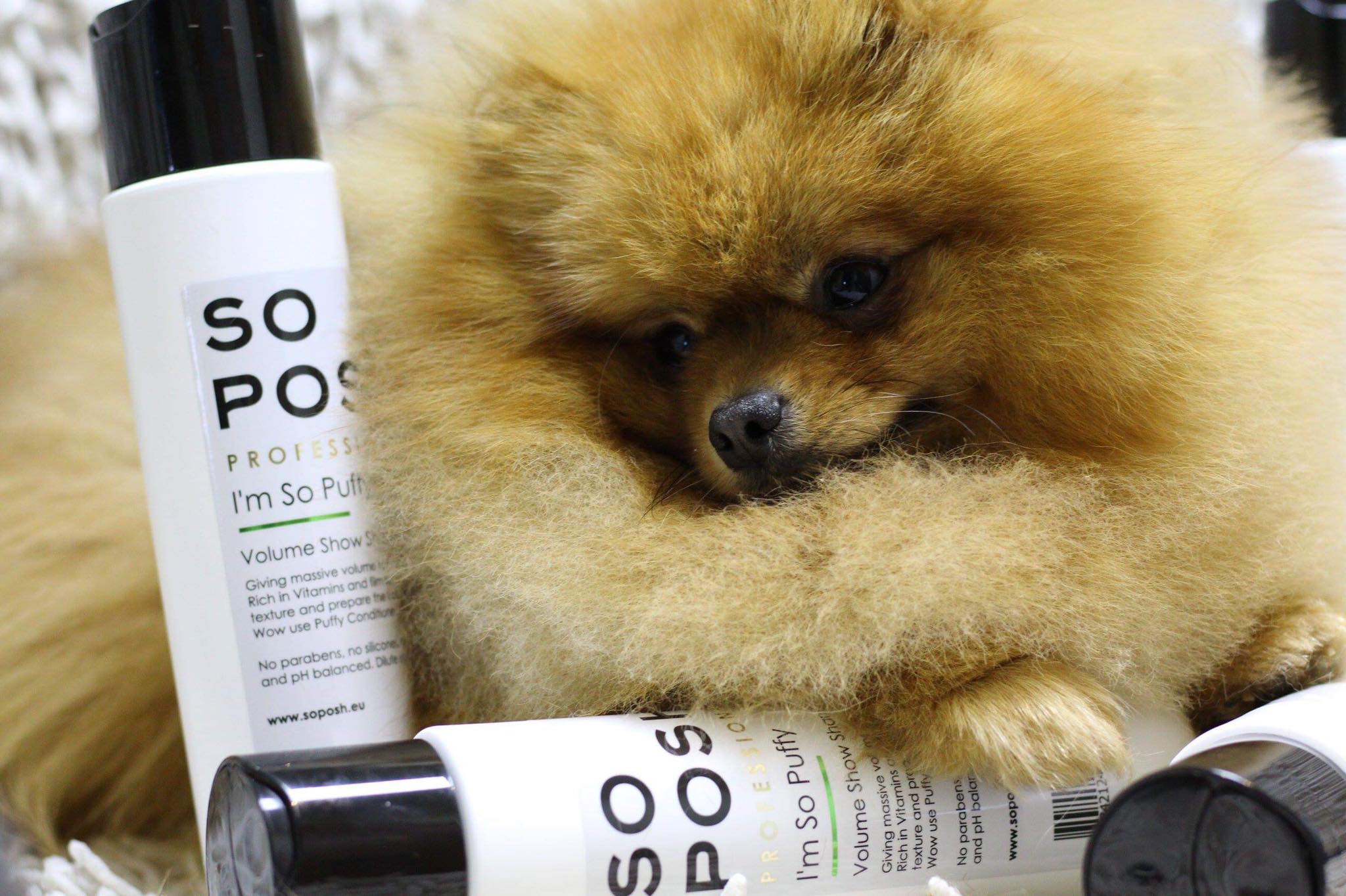 SO POSH Objemový kondicionér Puffy 250ml 