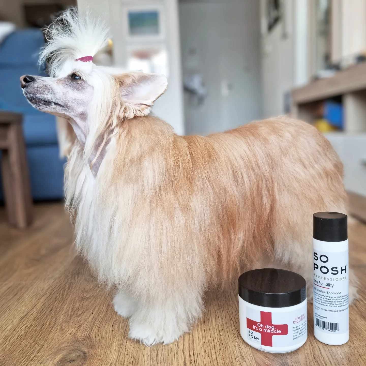 SO POSH Maska pro intenzivní regeneraci 500ml