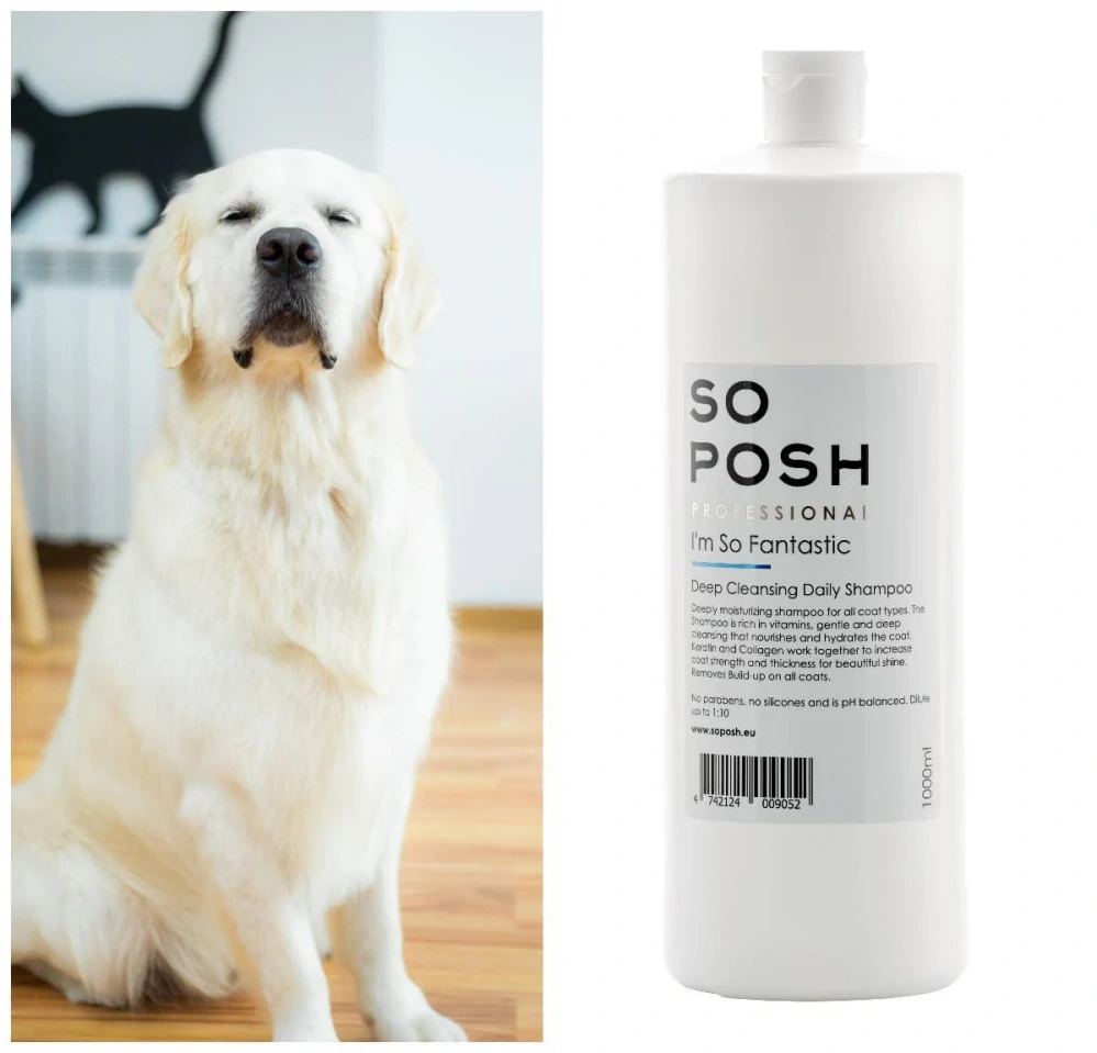 SO POSH Hluboce čistící šampon Fantastic 1l