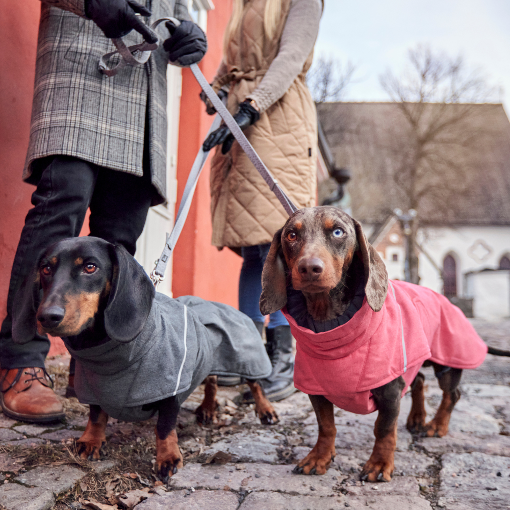 Hurtta Expedition Parka II 28 šedá