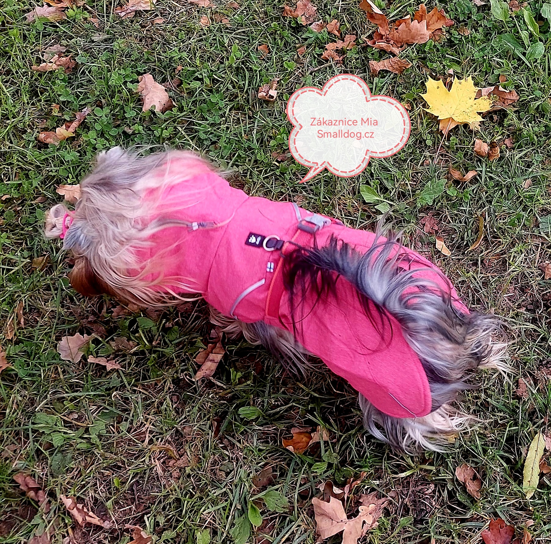 Hurtta Expedition Parka II 25 jahodová