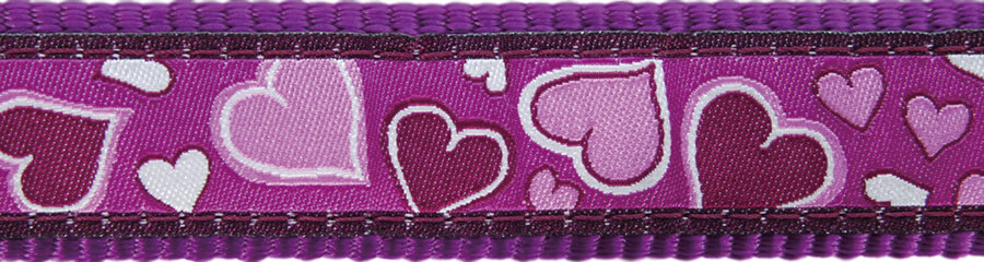 Red Dingo obojek – Breezy Love Purple – 12 mm x 20-32 cm