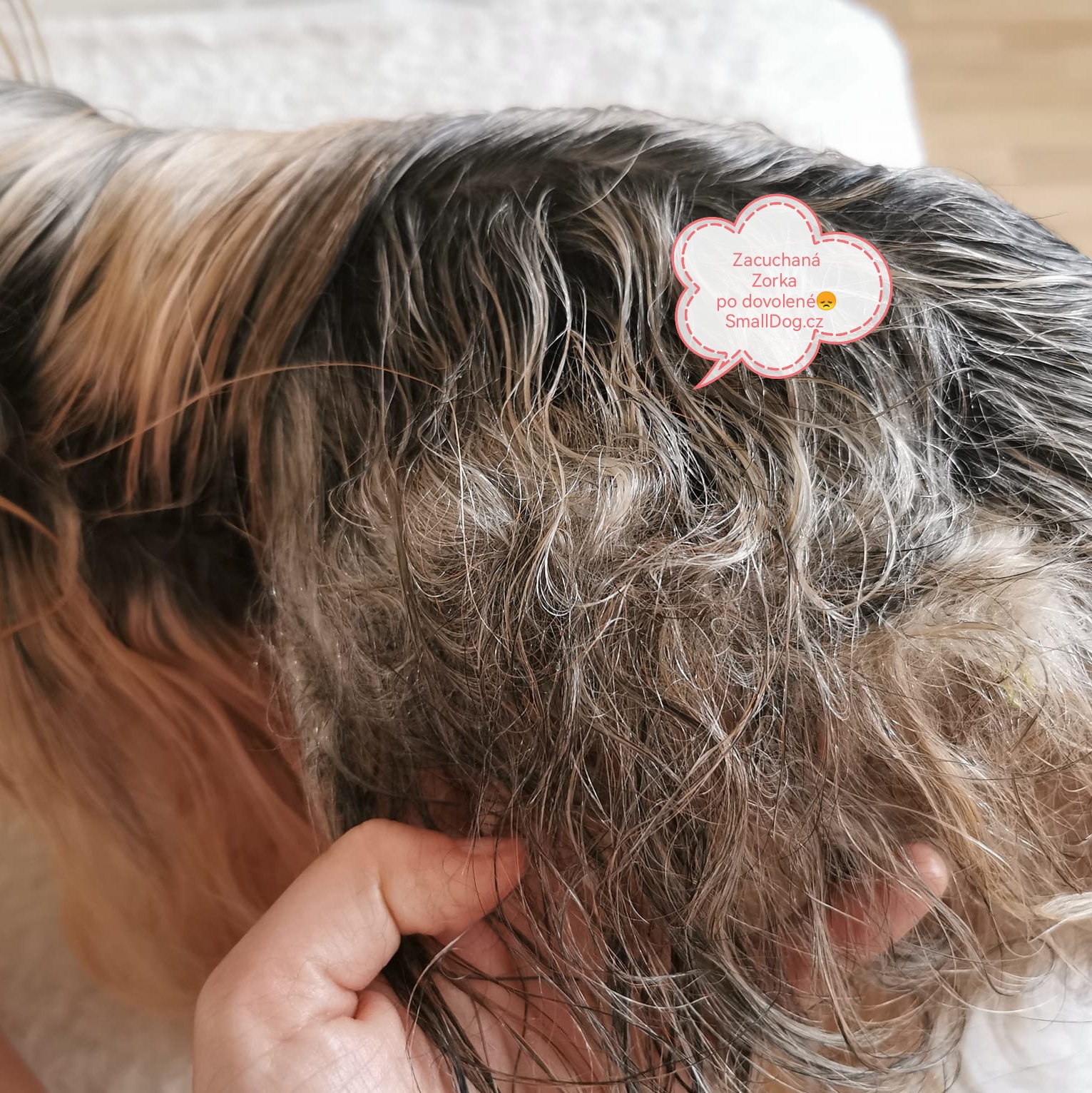 Lesk + rozčesávací sprej Yuup 250 ml (vysoká koncentrace účinných látek)