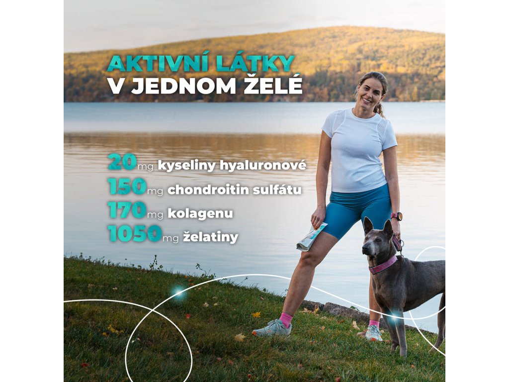 Geloren DOG S-M kloubní výživa pro malé a střední psy, 180 g, 60 želé