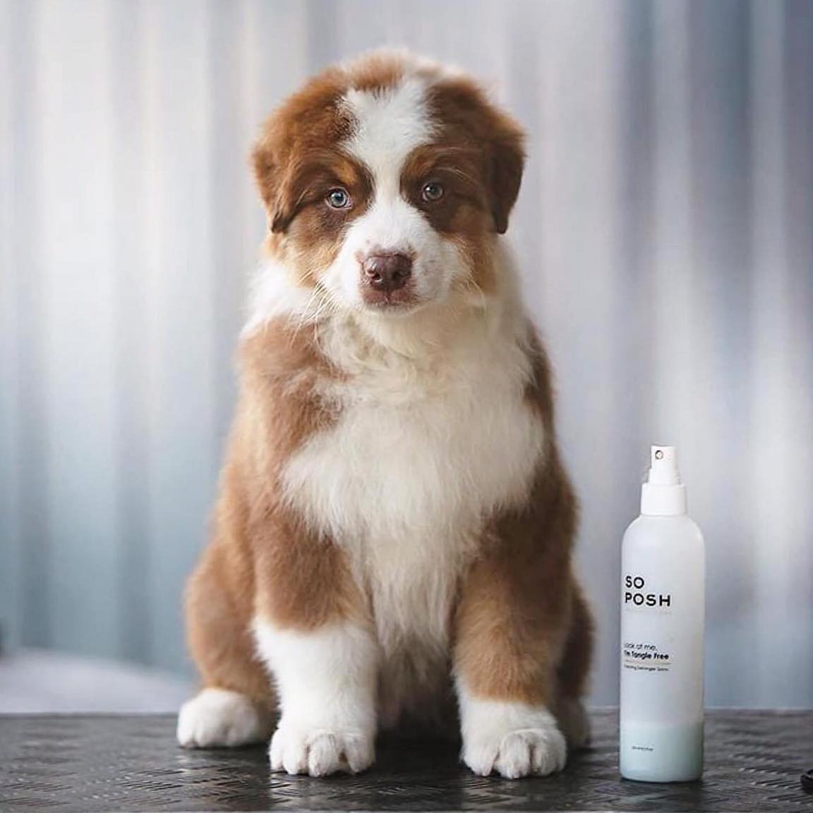 SO POSH Rozčesávací sprej 250ml 