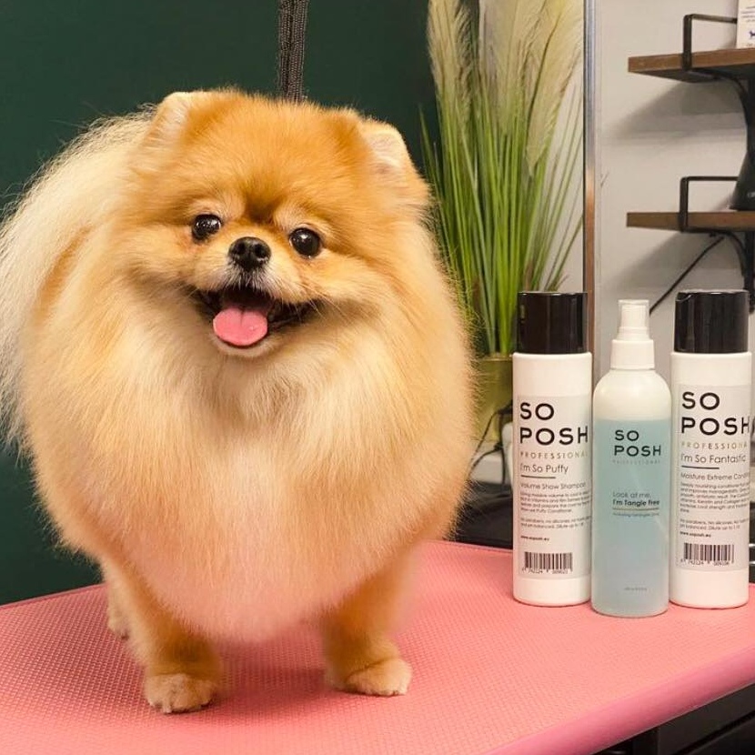 SO POSH Rozčesávací sprej 250ml 