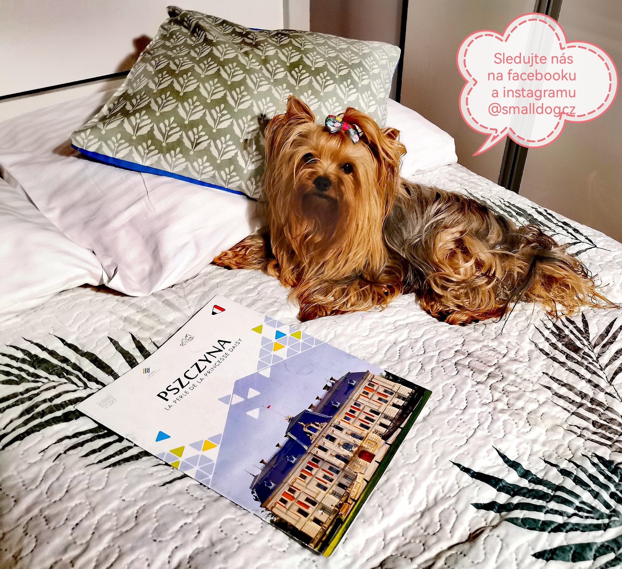 Náhradní náplň - Lesk a rozčesávací sprej Yuup 1l (vysoká koncentrace účinných látek)