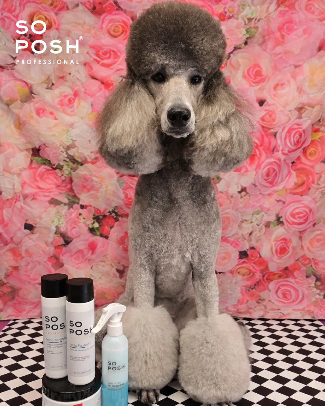 SO POSH Hluboce hydratační kondicionér Fantastic 250ml 