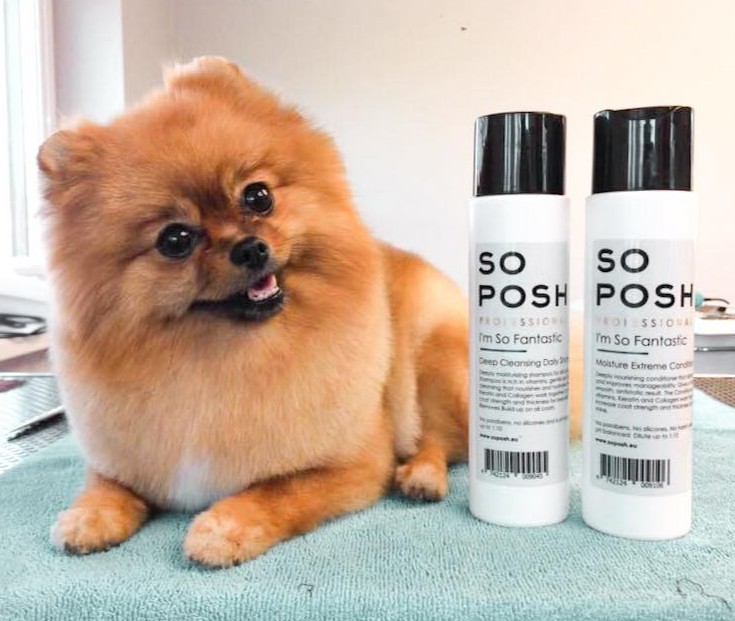 SO POSH Hluboce hydratační kondicionér Fantastic 250ml 